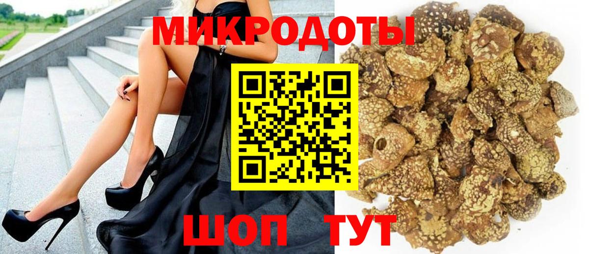 Будённовск  Псилоцибиновые грибы Psilocybe  Вход с VPN  Псилоцибиновые грибы Psilocybe 