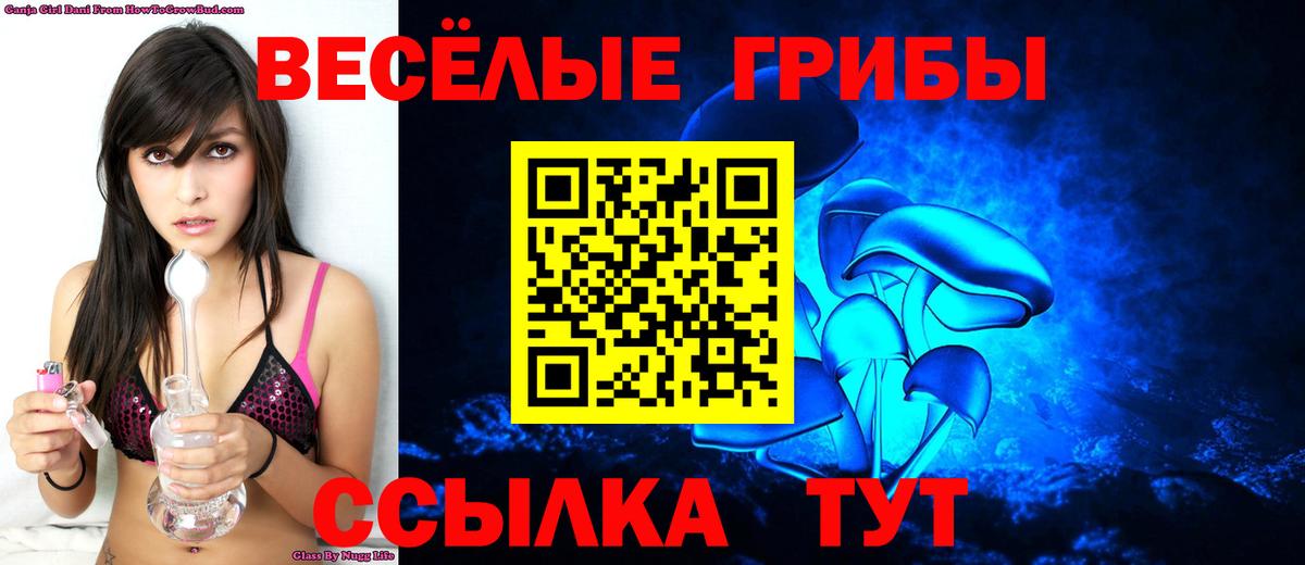 Галлюциногенные грибы мицелий Будённовск
